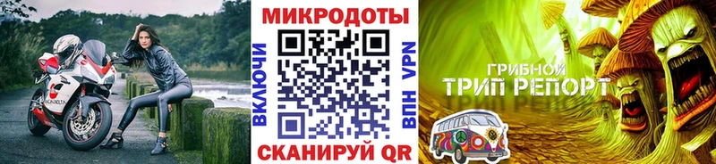 Псилоцибиновые грибы ЛСД  Купить  Нурлат 